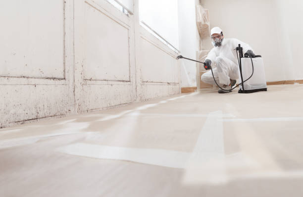 24/7 Emergency Black Mold Removal experts in Benson, NC