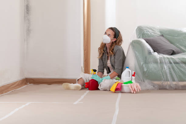 Reliable Black Mold Removal contractor in Benson, NC by WQB Mold Removal